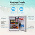 70L Portable Bar Fridge and Freezer 12V/24V for Camping, Caravans, Silver