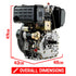 Baumr-AG 10HP Diesel Stationary Engine Electric Start OHV Replacement Motor