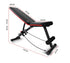 PROFLEX Weight Bench Workout Gym Press Adjustable Lifting Fitness Folding Bands