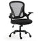 Ergonomic Office Desk Chair, Coolmesh Fabric, Adjustable Recline, Black Mesh/Black Frame