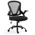 Ergonomic Office Desk Chair, Coolmesh Fabric, Adjustable Recline, Black Mesh/Black Frame