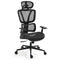 Ergonomic Office Desk Chair, Coolmesh Fabric, Adjustable Lumbar Support, Headrest, Armrest and Recline, Black Mesh/Black Frame