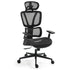 Ergonomic Office Desk Chair, Coolmesh Fabric, Adjustable Lumbar Support, Headrest, Armrest and Recline, Black Mesh/Black Frame
