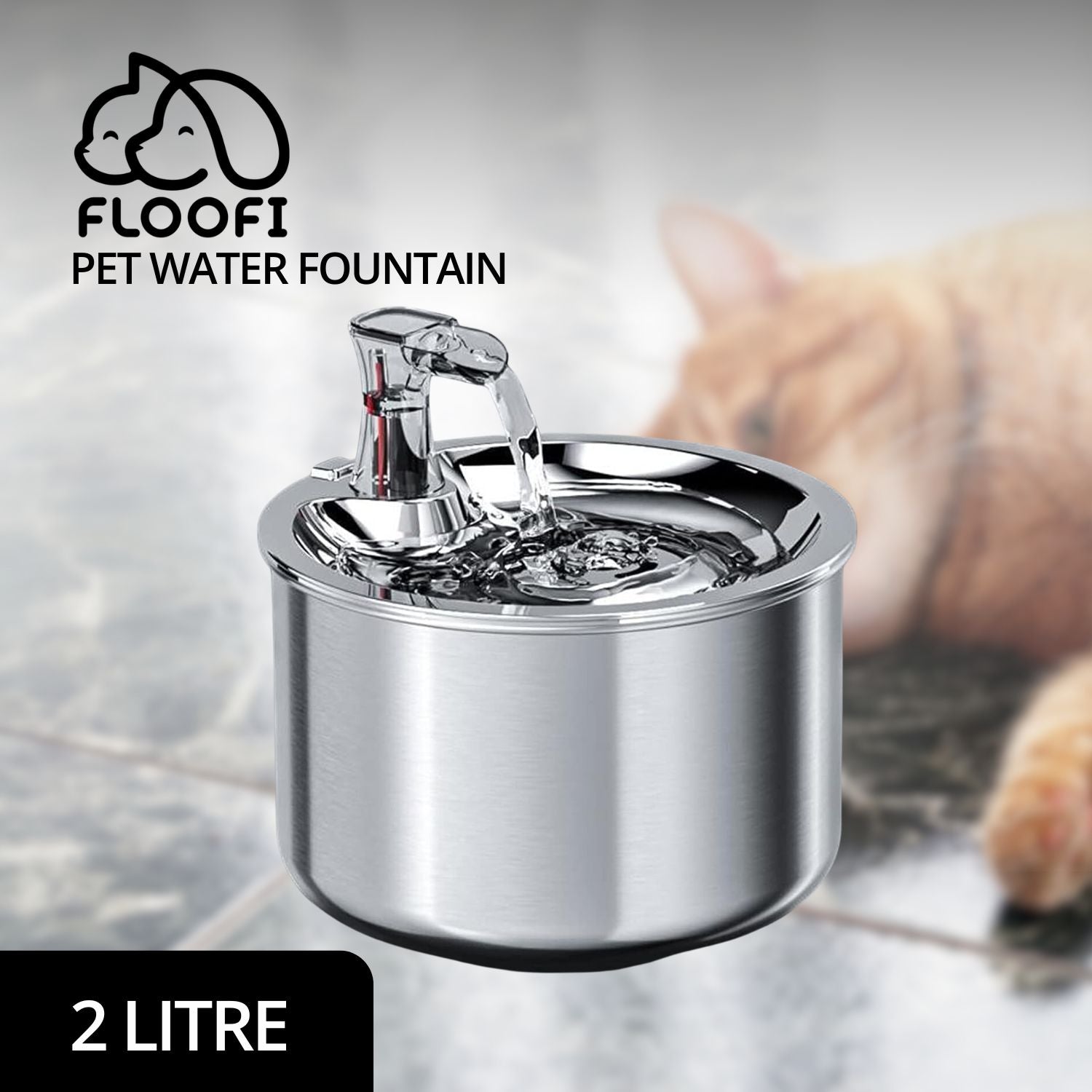 FLOOFI 2L Stainless Steel Pet Water Fountain for Cats and Small Dogs