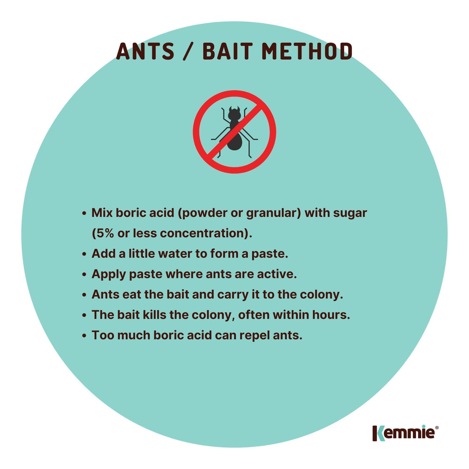 100g Boric Acid Powder High Purity Fully Soluble Granule Pest Ant Cockroaches