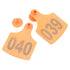 1-100 Cattle Number Ear Tag 6x7cm Set - Medium Orange Cow Sheep Livestock Label