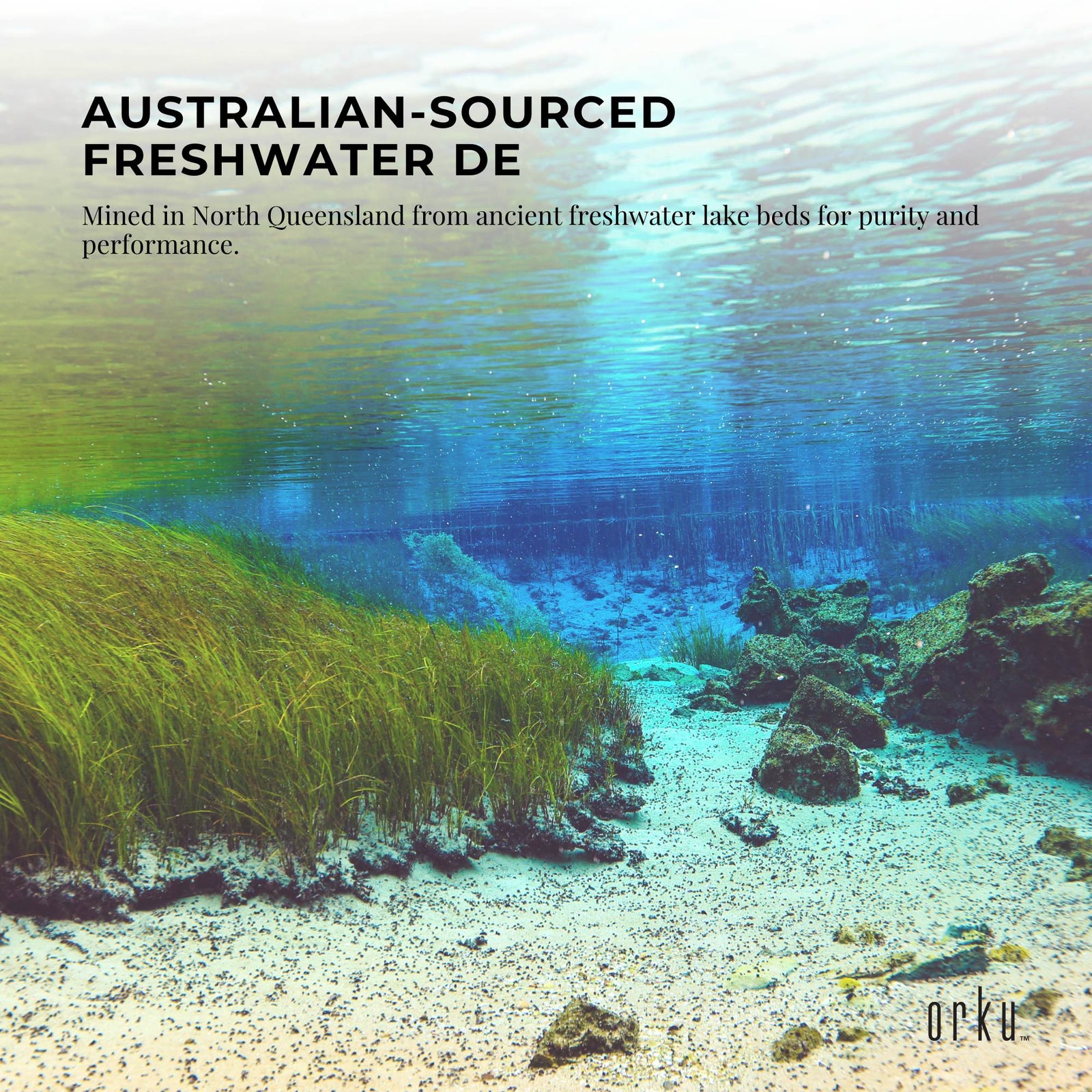 10Kg Fossil Shell Flour - Livestock Garden Diatomaceous Earth Bulk