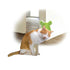 Cat Corner Groomer With Catnip - Wall Mounted Pet Self Comb Massager Brush