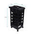 6 Tier Hairdressing Trolley Black 82x49x32cm Salon Hair Colouring Rolling Cart