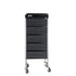 Ellie & Ruby Hairdressing Trolley 5 Drawer Hair Salon Beauty Rolling Cart