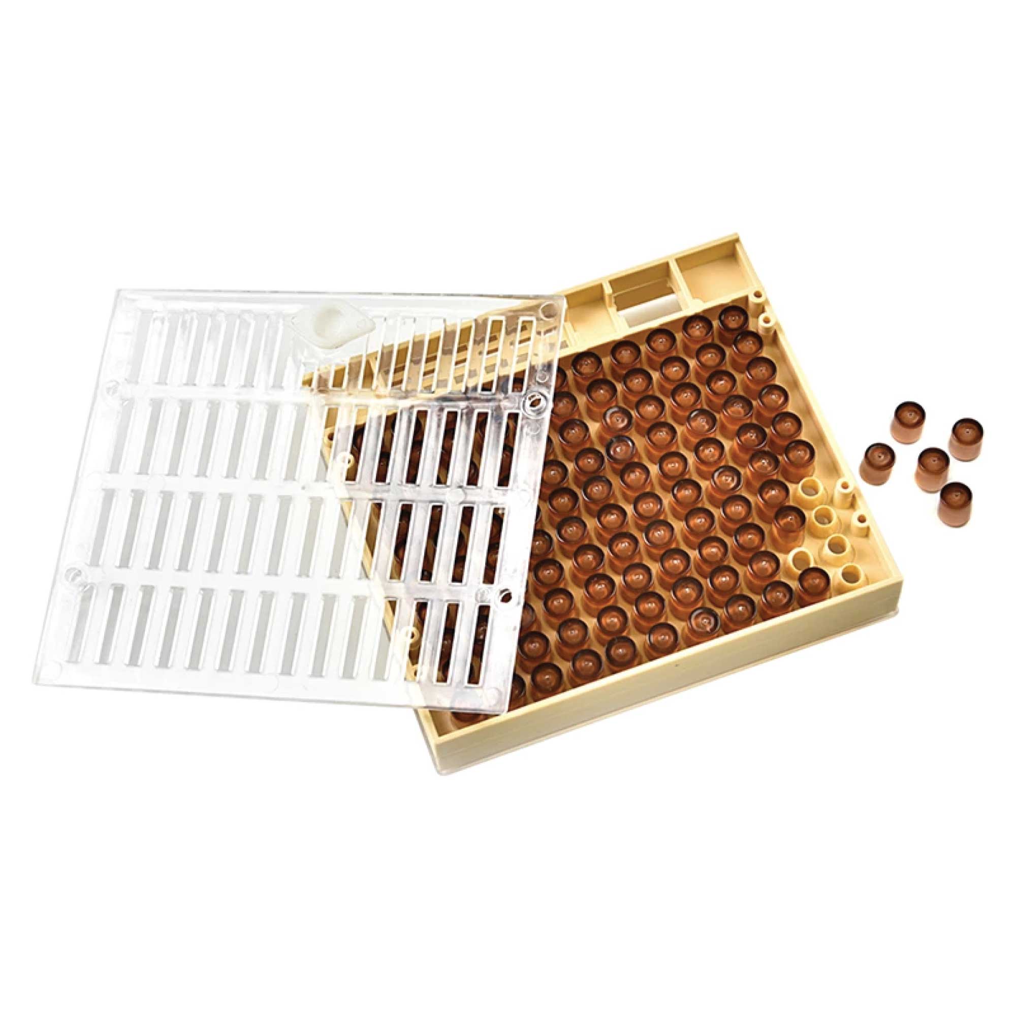 Nicot Queen Bee Rearing System Kit - Basic No Graft Jenter Starter Beekeeping