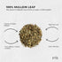 200g Organic Mullein Leaf - Dried Herbal Verbascum Thapsis