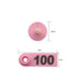 1-100 Cattle Number Ear Tag 5x2cm Set - Mini Pink Cow Sheep Pig Livestock Label