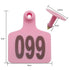 1-100 Cattle Number Ear Tags 5x4cm Set - Small Pink Pig Goat Livestock Label