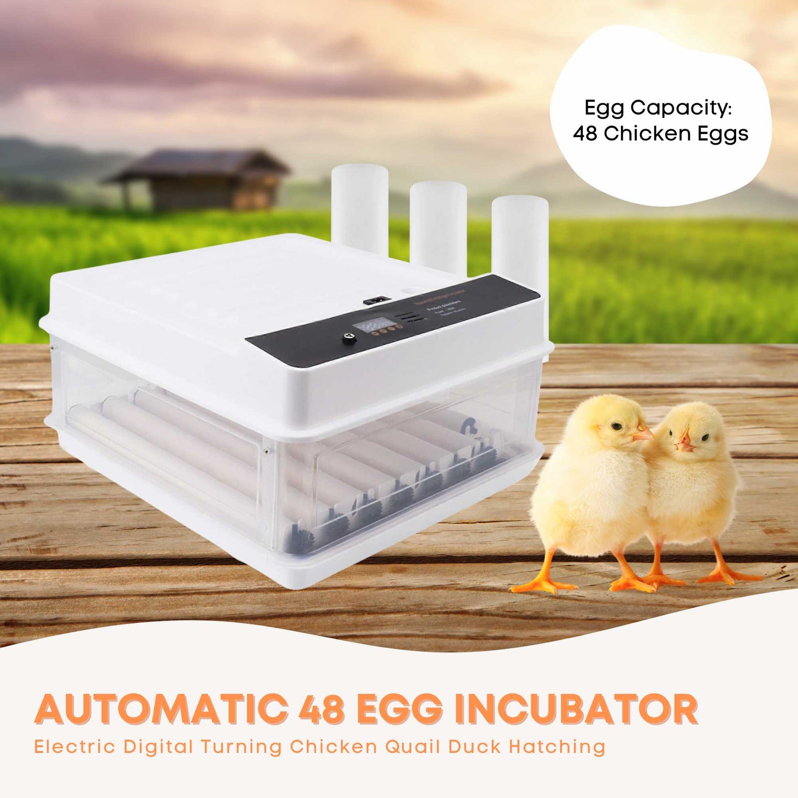 Automatic 70 Egg Incubator - Electric Digital Turning Chicken Quail Duck Hatching