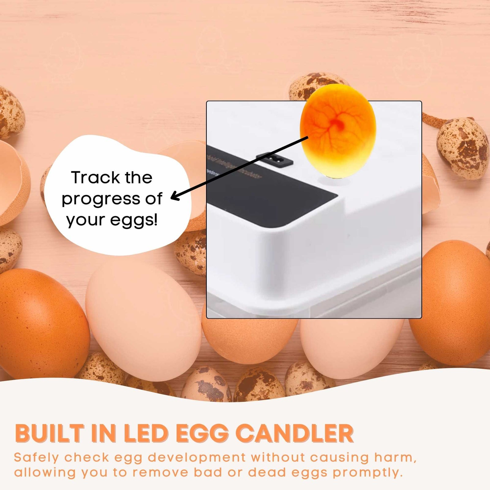 Automatic 70 Egg Incubator - Electric Digital Turning Chicken Quail Duck Hatching