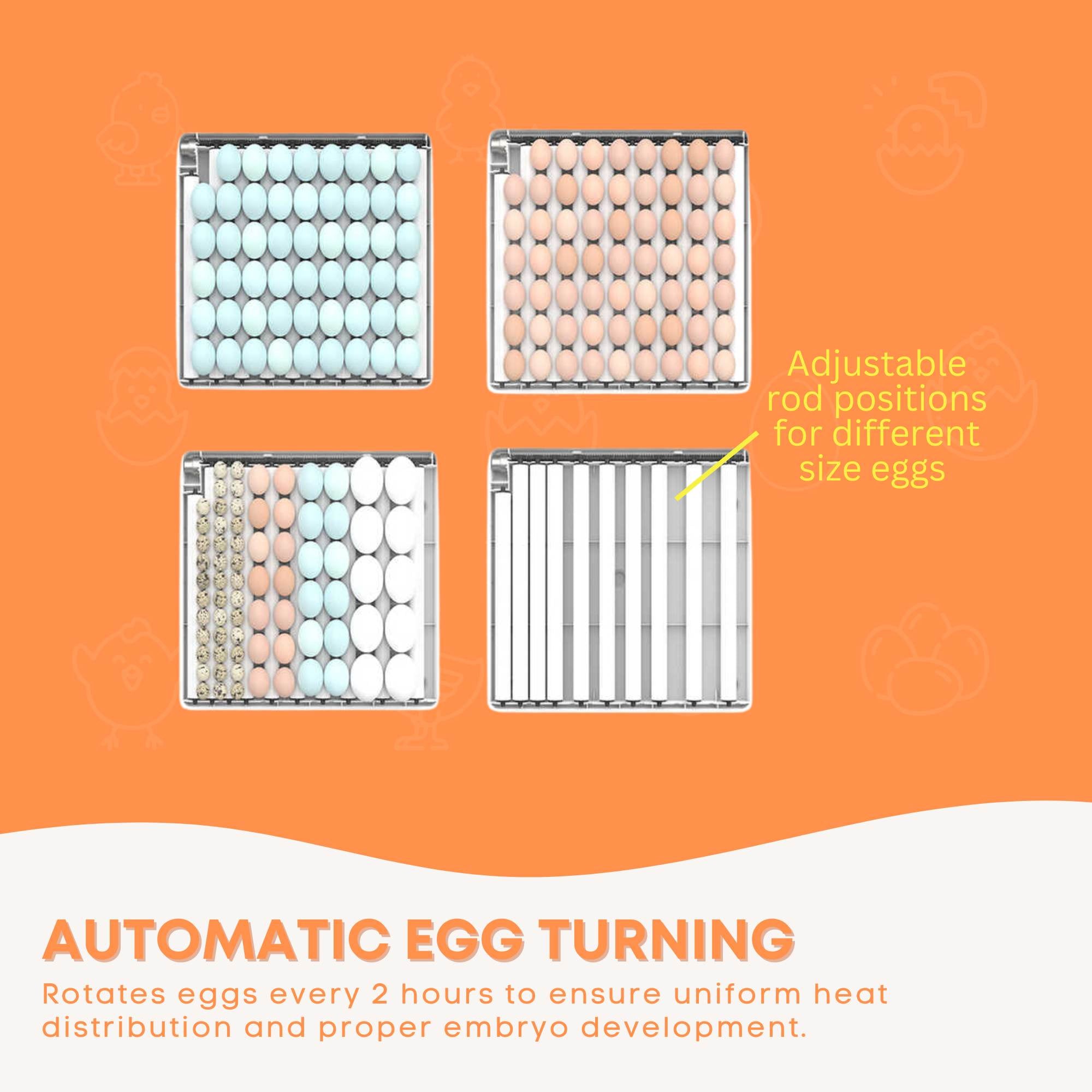 Automatic 130 Egg Incubator - Electric Digital Turning Chicken Quail Duck Hatching