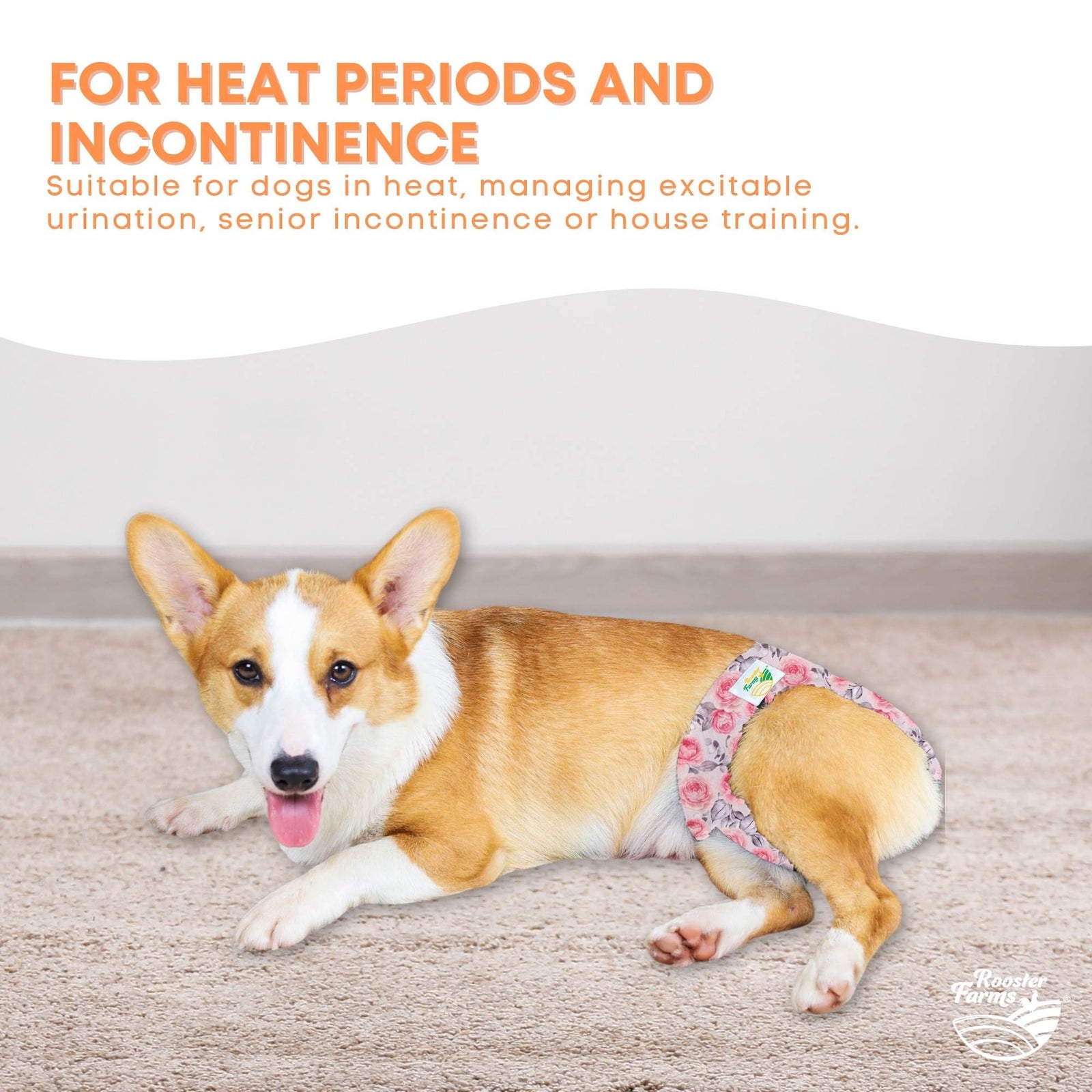 Female Dog Diapers XSmall 3Pk - Washable Reusable Nappy Hook/Loop