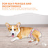 Female Dog Diapers XSmall 3Pk - Washable Reusable Nappy Hook/Loop
