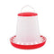 Rooster Farms 1.5Kg Automatic Chicken Feeder - Poultry Hen Feeding Seed Bucket
