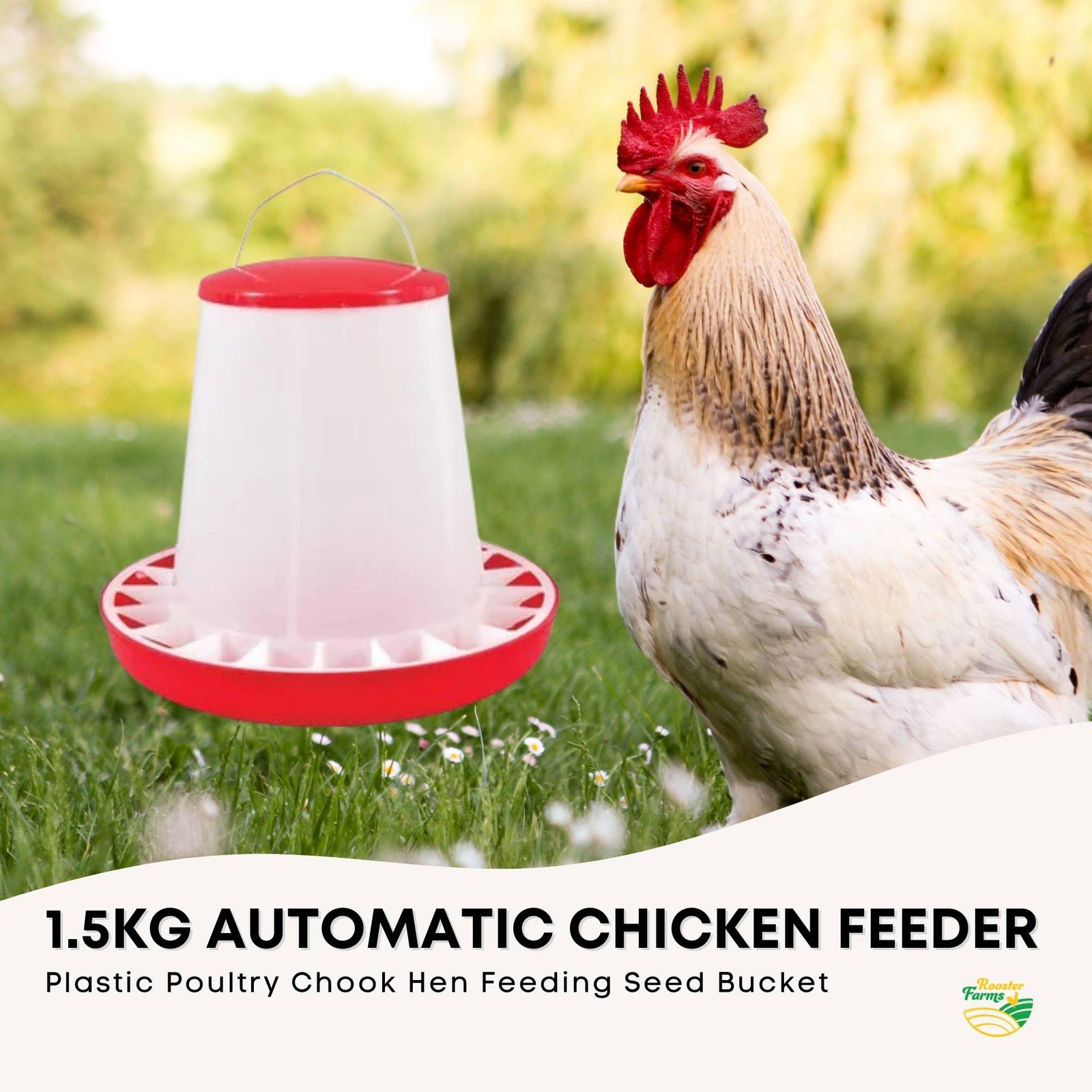 Rooster Farms 1.5Kg Automatic Chicken Feeder - Poultry Hen Feeding Seed Bucket