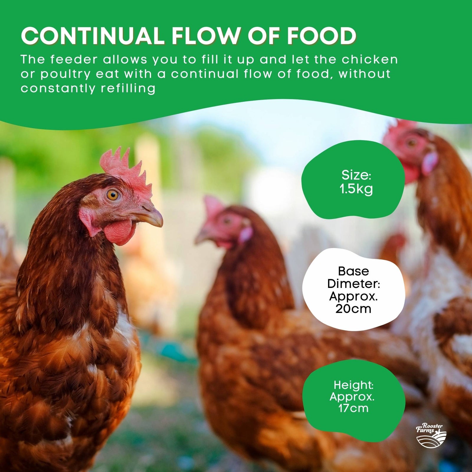 Rooster Farms 1.5Kg Automatic Chicken Feeder - Poultry Hen Feeding Seed Bucket