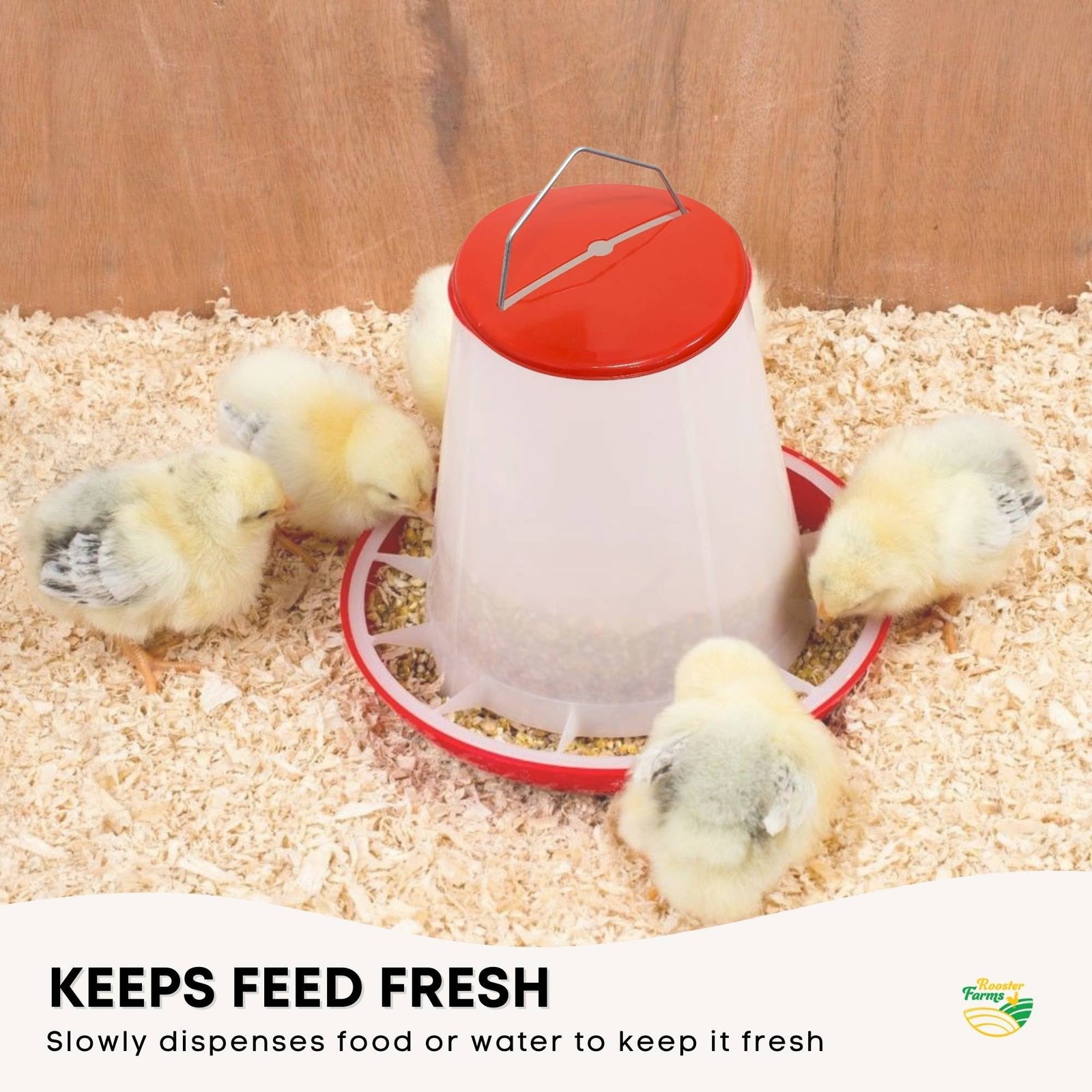 Rooster Farms 1.5Kg Automatic Chicken Feeder - Poultry Hen Feeding Seed Bucket