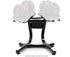 Powertrain Heavy Duty Ergonomic Adjustable Dumbbell Stand Weight Plate Rack Holder for Home Gym Strength Workout