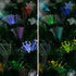 Christabelle 2.1m 7ft Fibre Optic Christmas Tree Pre-Lit Multicolour Star Lights