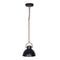 Black and Gold Pendant Light  Adjustable Sloped Ceiling 140cm