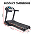 Powertrain MX2 Foldable Home Treadmill Auto Incline Cardio Running