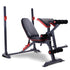 Powertrain Adjustable Weight Bench Home Gym Bench Press - 301