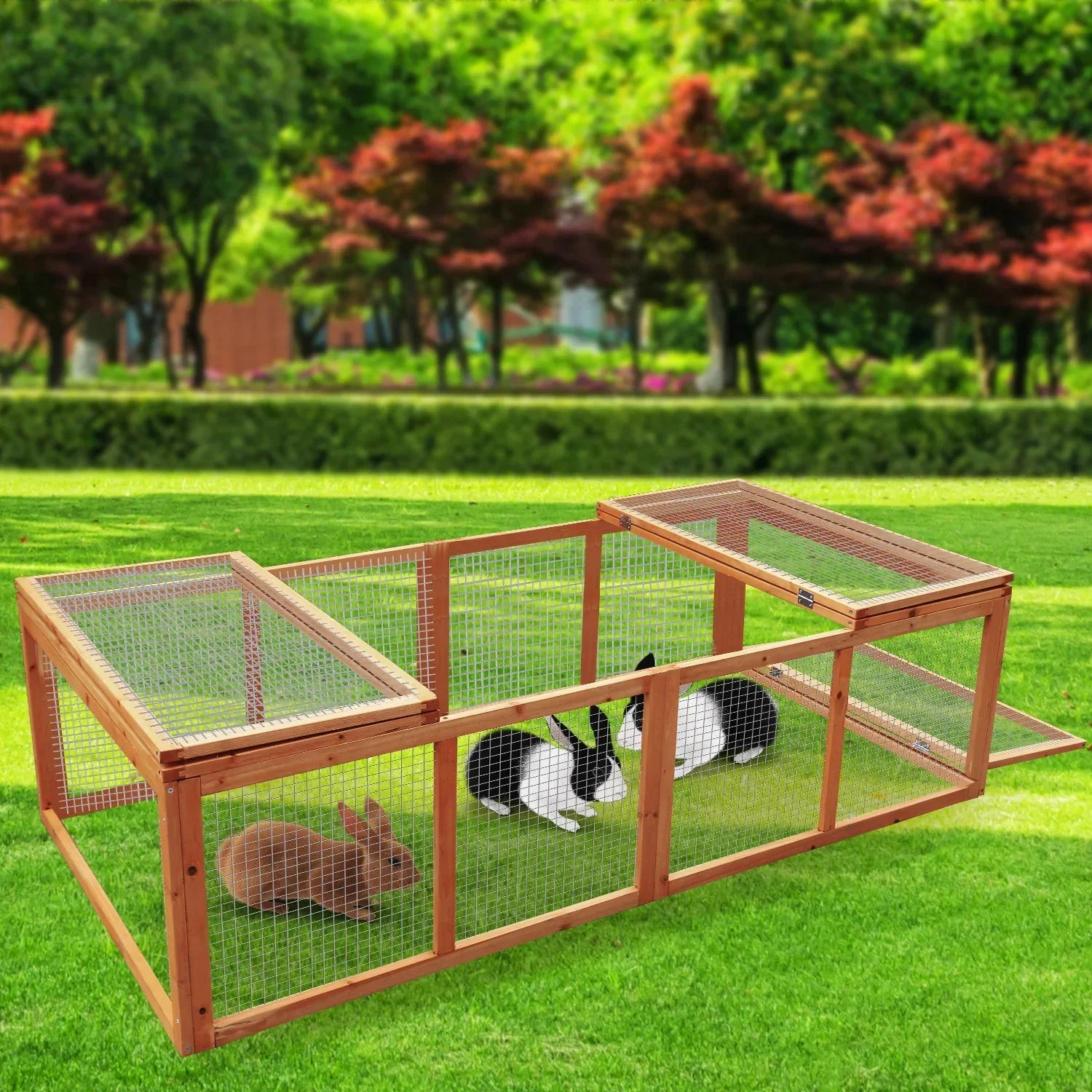 Rectangular Wooden Chicken Coop & Rabbit Hutch