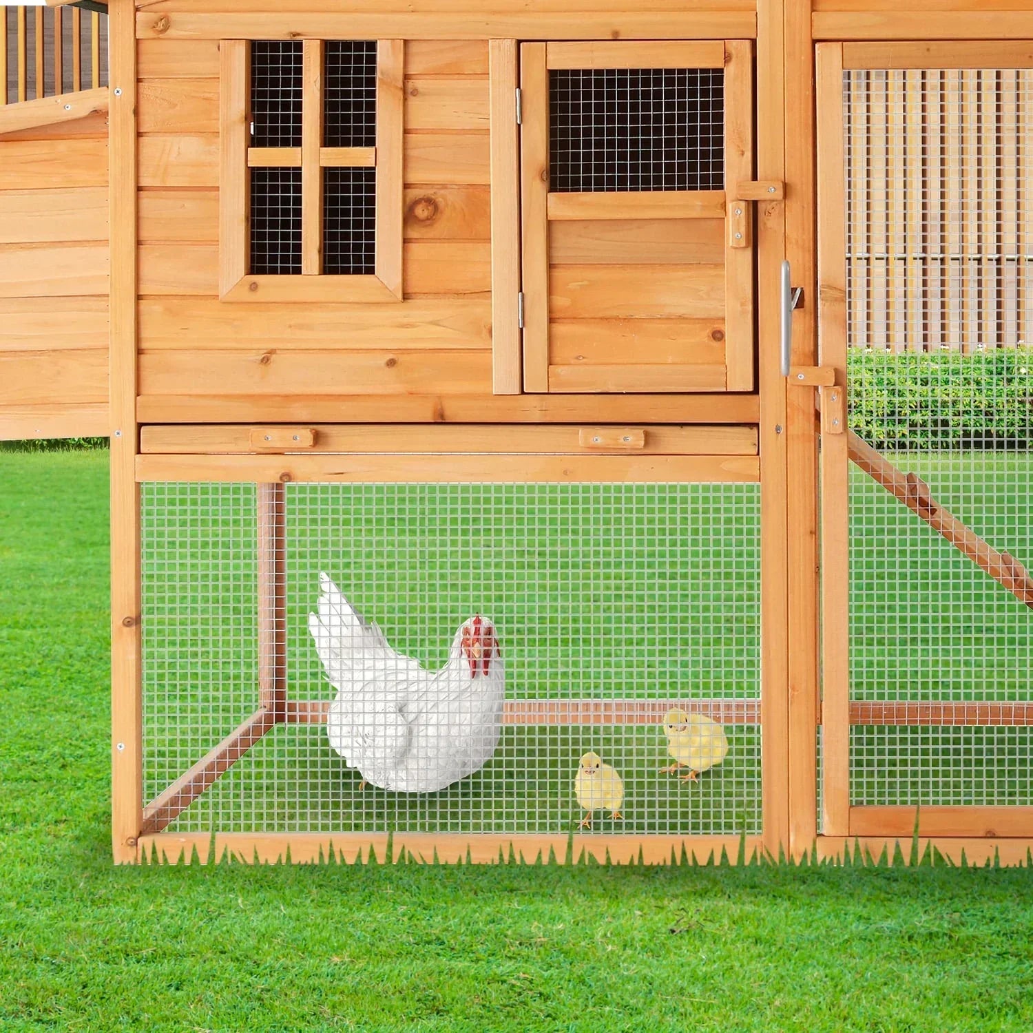 Large Chicken Coop & Rabbit Hutch With Ramp