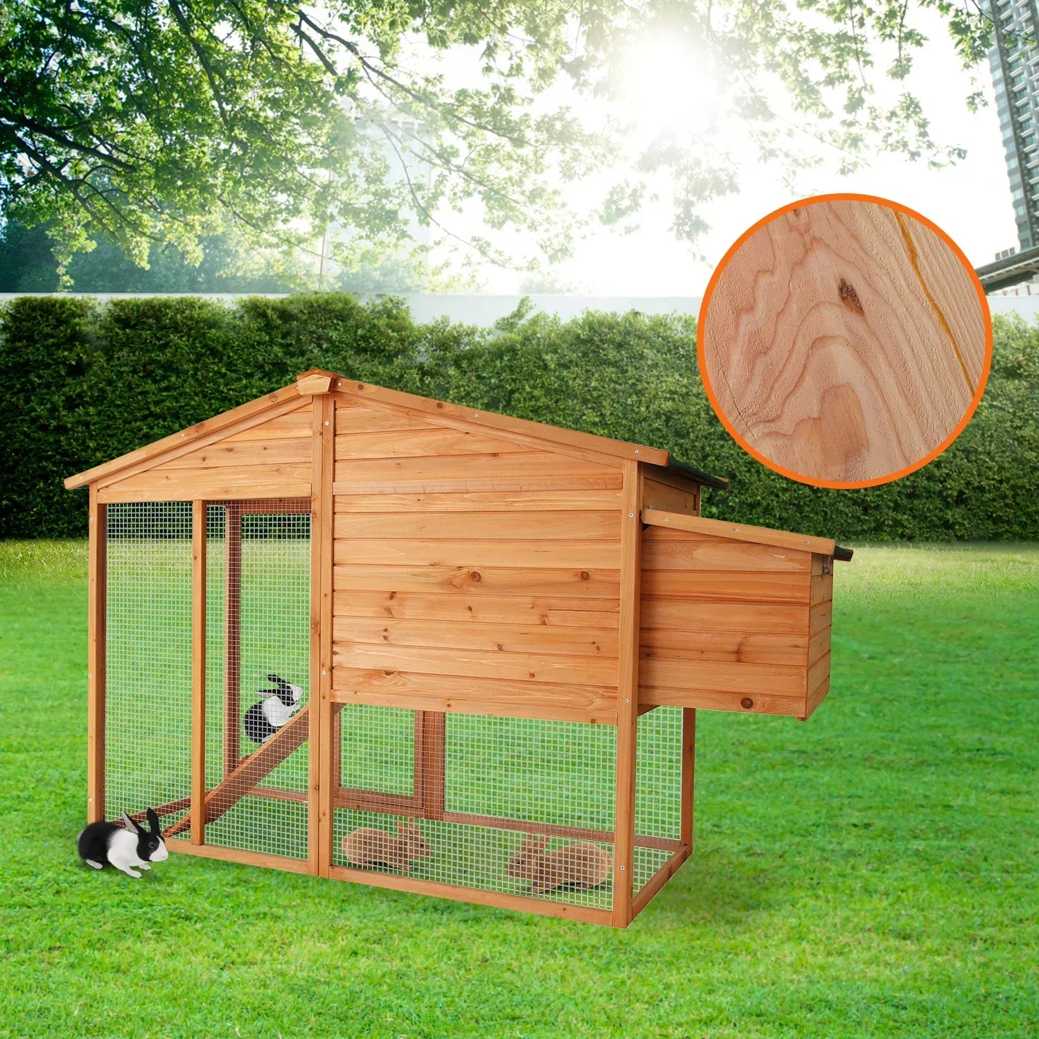 Large Chicken Coop & Rabbit Hutch With Ramp