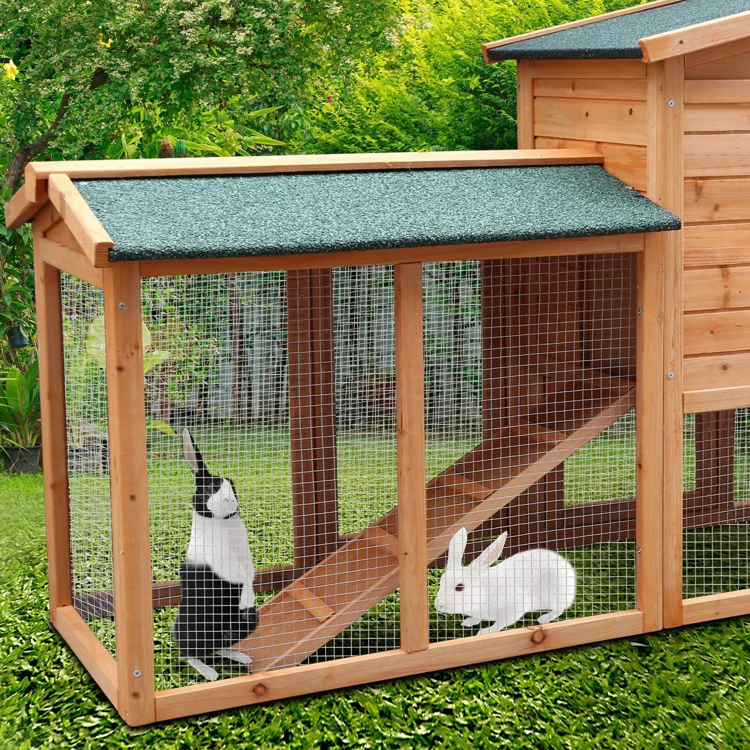 Large Wooden Chicken Coop & Rabbit Hutch With Ramp