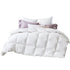 80% Duck Down 20% Duck Feather Quilt - Queen