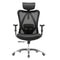 Ergonomic Office Chair, Computer Chair Desk Chair High Back Chair Breathable,3D Armrest and Lumbar Support