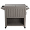 Garden Bar Serving Cart with Cooler (Taupe)