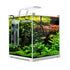 16L Starfire Glass Aquarium with LED Light and Filter Pump
