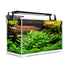39L Starfire Glass Aquarium with LED Light and Filter Pump