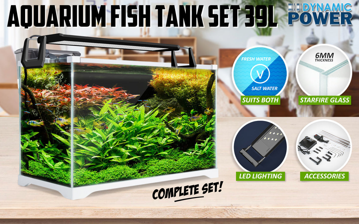 39L Starfire Glass Aquarium with LED Light and Filter Pump