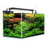 70L Starfire Glass Aquarium with LED Light and Filter Pump