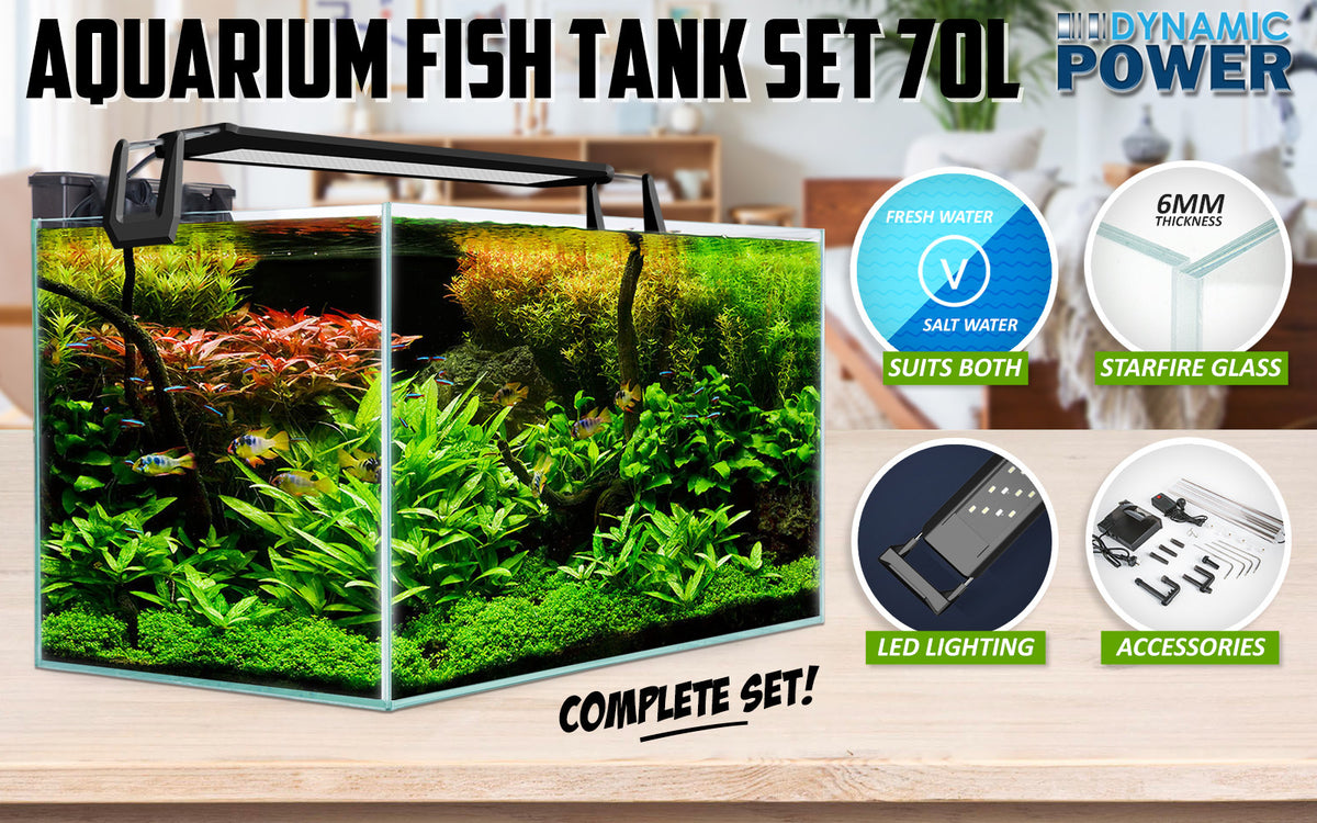 70L Starfire Glass Aquarium with LED Light and Filter Pump