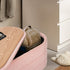 Coffee Table Storage Ottoman - Chenille Fabic Padded Blanket Box Bench CELIA - PINK