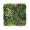 5 SQM Artificial Plant Wall Grass Panels Vertical Garden Tile Fence 1X1M