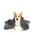 Dog wearing a gray fluffy coat on a white background