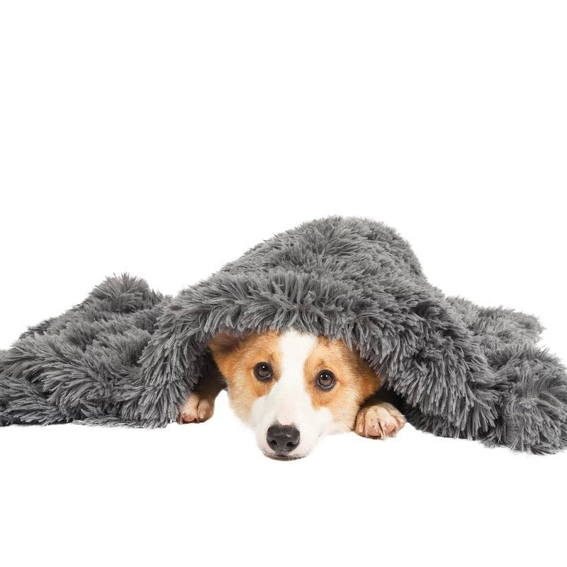 Dog peeking out from under a gray fluffy blanket on a white background