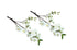 Artificial Single Stem Cherry Blossom 49cm -White - Set of 2 Bunch