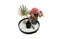 Bloom Flower Tray & Fragrance Diffuser Set - White